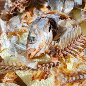 Residuo de pescado reciclamos sus deshechos de raspas de producción de-congelados-de-pescado-en euskadi navarra la rioja Aragón