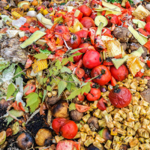 Los sobrantes, productos en cualquier estado de descomposición o restos de podas de cualquier explotación horticultura, fruticultura o de otro tipo.